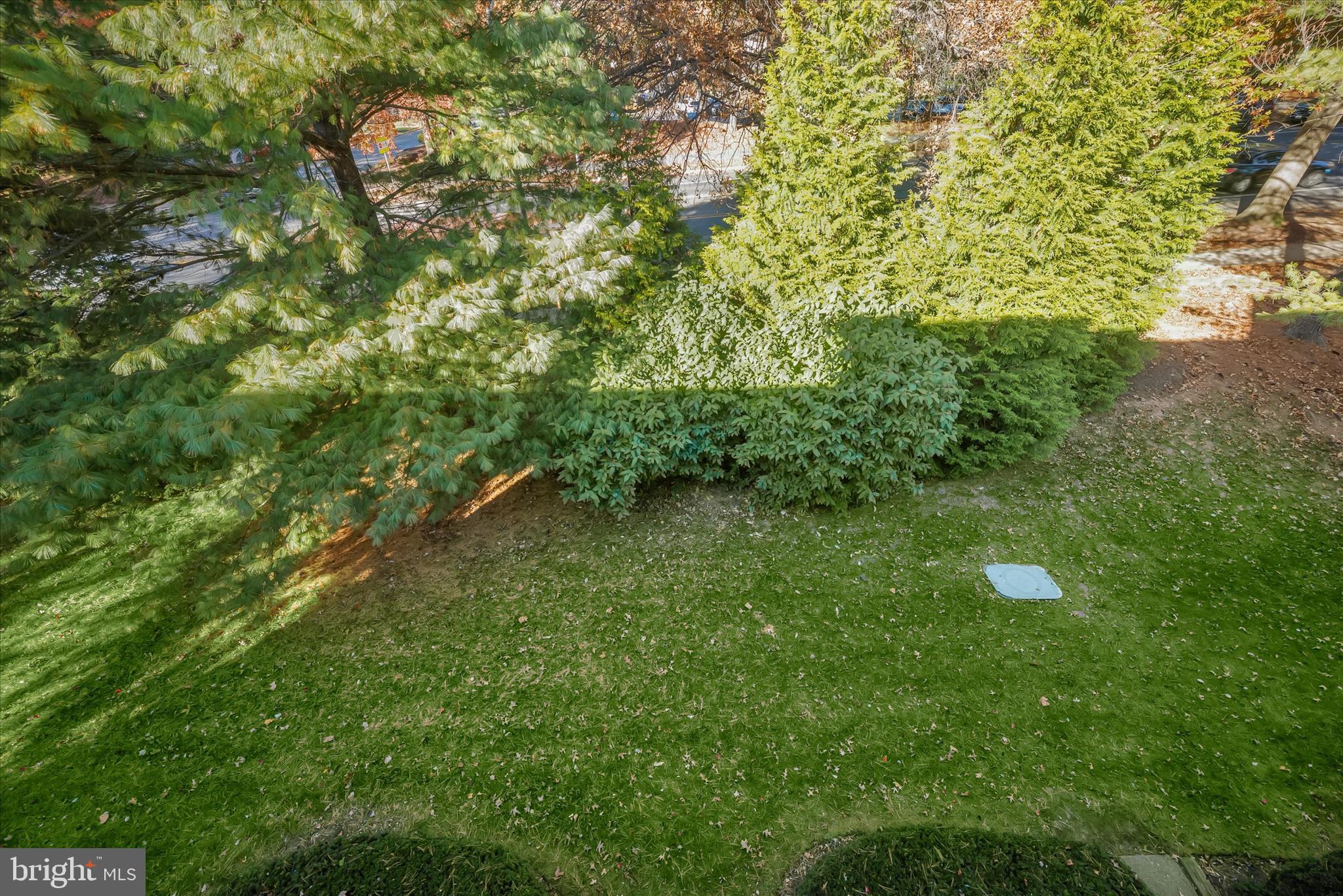 12309 Silvergate Way, Unit 908K Germantown, MD 20874 - Photo 29 of 37 a green field with lots of bushes