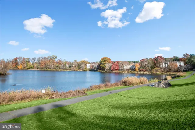 a view of a yard from a window