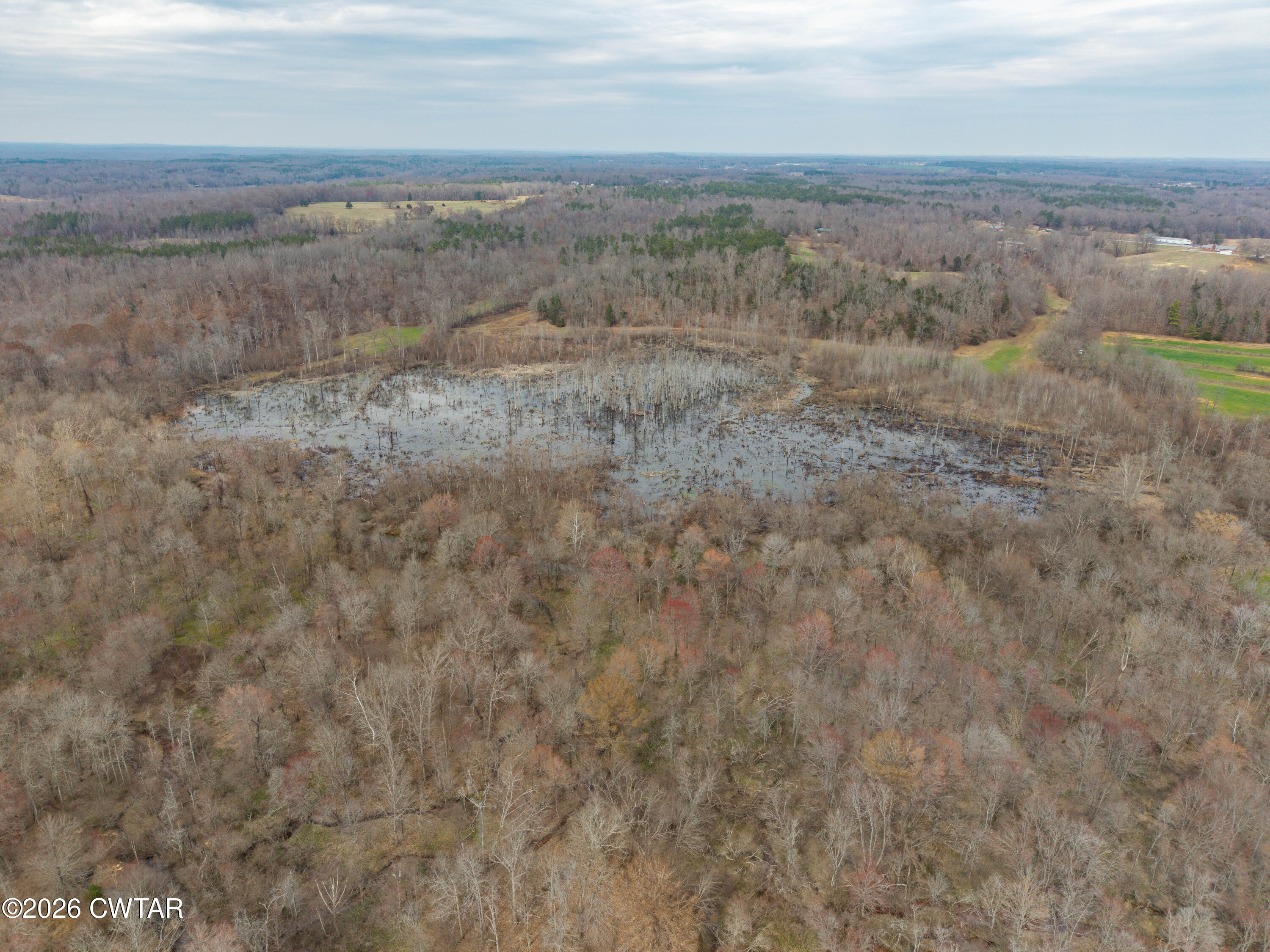495 Knuckles Road Henderson, TN 38340 - Photo 64 of 80 dji_fly_20260303_034134_0016_17725948958