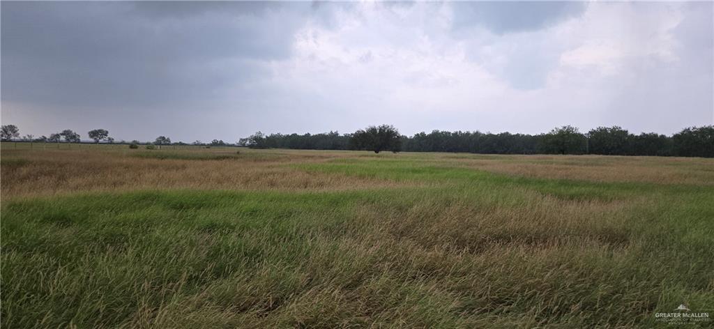 0 Leo Road West Rio Grande City, TX 78582 - Photo 4 of 5