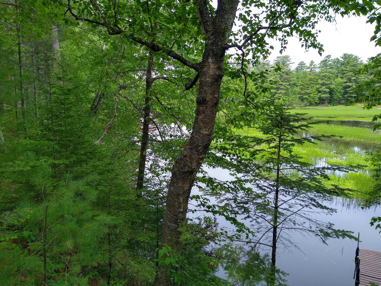 5365 Illinois Road Eagle River, WI 54521 - Photo 19 of 24 Gallery Image 19