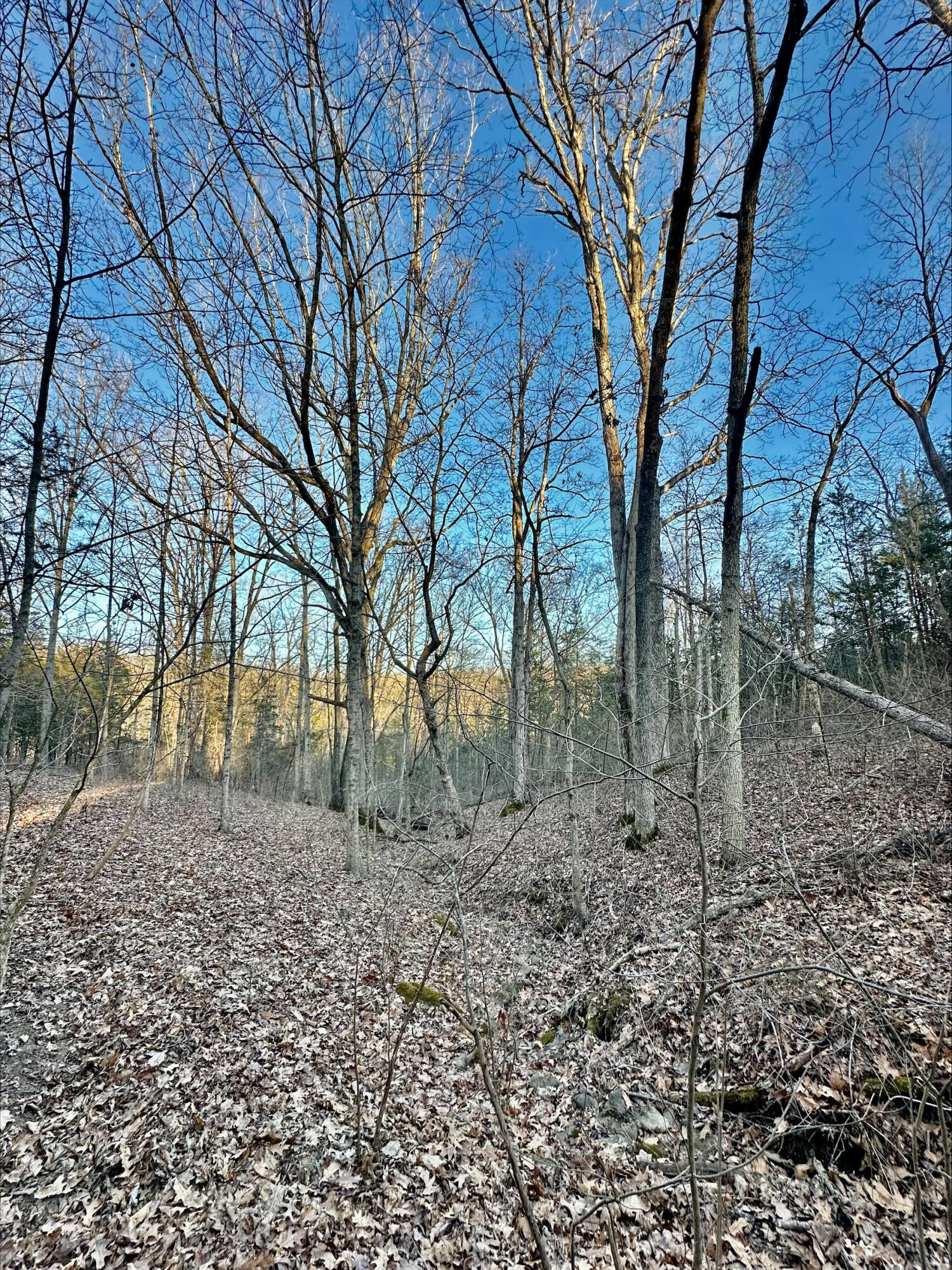 13489 Peach Grove Road California, KY 41007 - Photo 23 of 50 Gallery Image 23