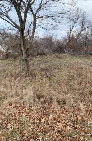 9-46 Woodhaven Sublette, IL 61367 - Photo 2 of 2