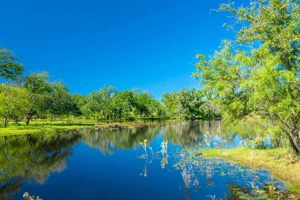 a view of a lake with houses in the background