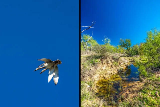 a view of a yard with an empty space