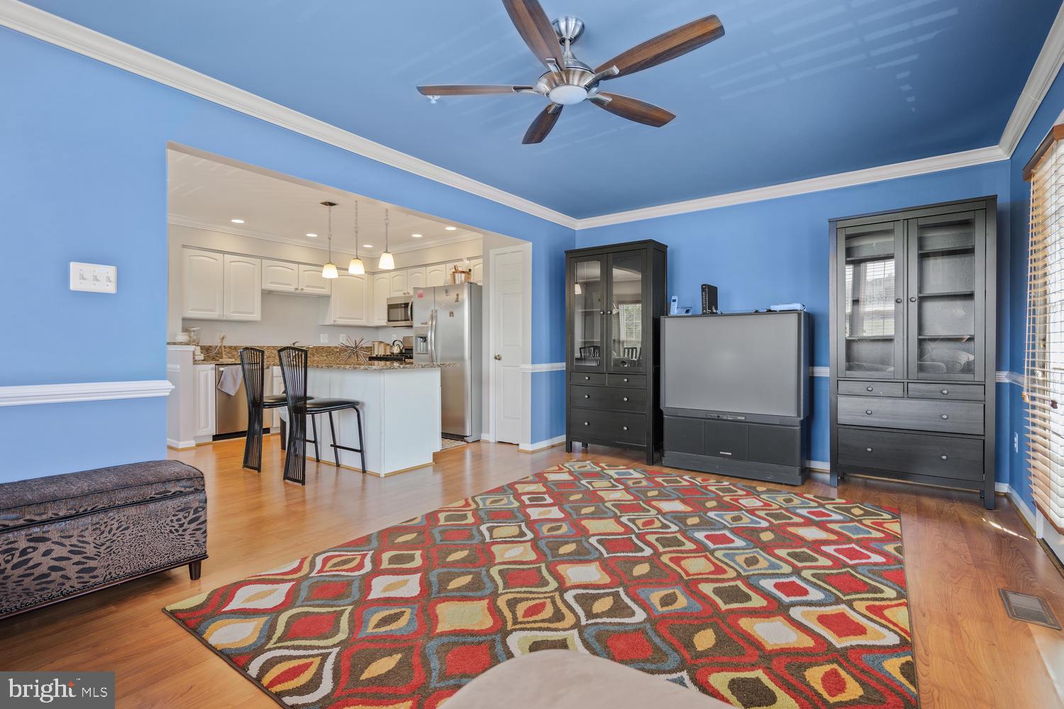 4630 Ripley Manor Terrace Olney, MD 20832 - Photo 11 of 24 Family Room
