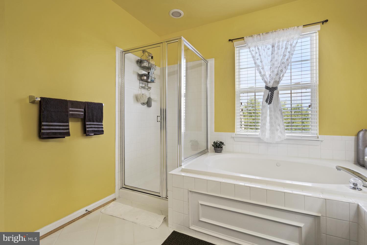 4630 Ripley Manor Terrace Olney, MD 20832 - Photo 14 of 24 Master Bath