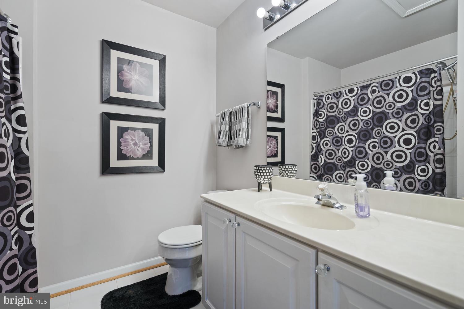 4630 Ripley Manor Terrace Olney, MD 20832 - Photo 18 of 24 Hall Full Bath