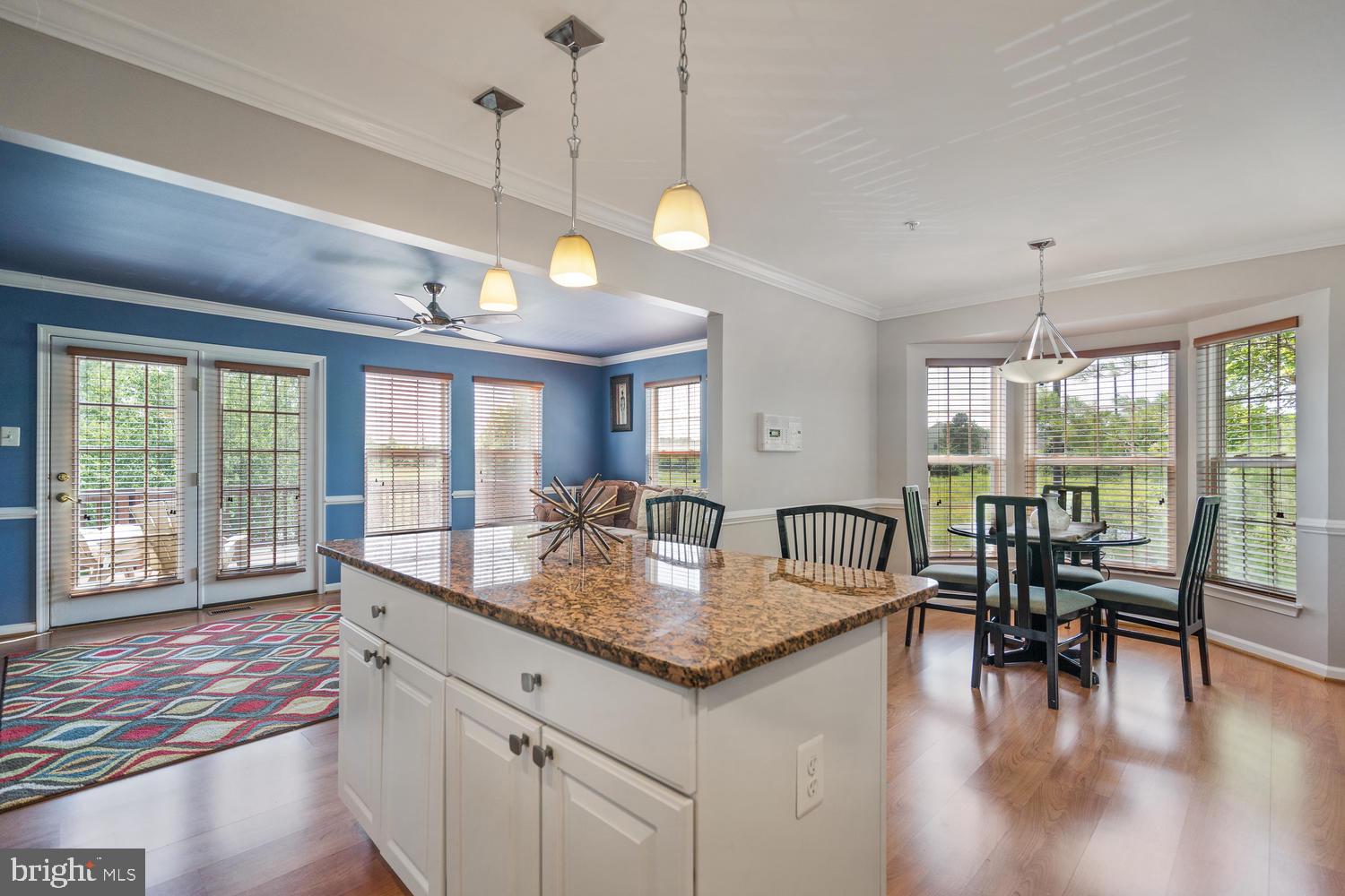 4630 Ripley Manor Terrace Olney, MD 20832 - Photo 8 of 24 Kitchen