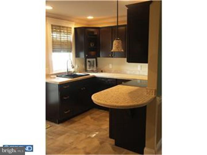 261 Ballymore Road Springfield, PA 19064 - Photo 10 of 22 Kitchen