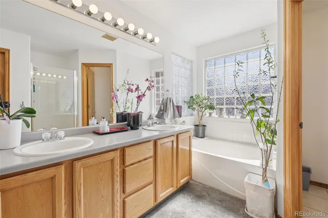 a bathroom with a sink a mirror and a shower