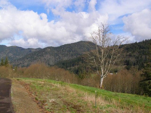 23 Skyview Road Tillamook, OR 97141 - Photo 29 of 41 P3180307