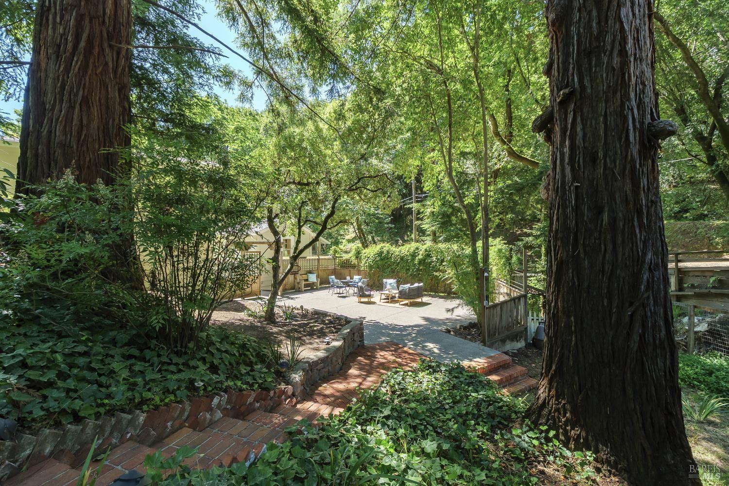 139 Scenic Road Fairfax, CA 94930 - Photo 33 of 47