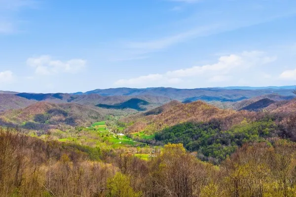 $597,000 | 195 Log Cabin Lane, Roan Mountain, TN 37687