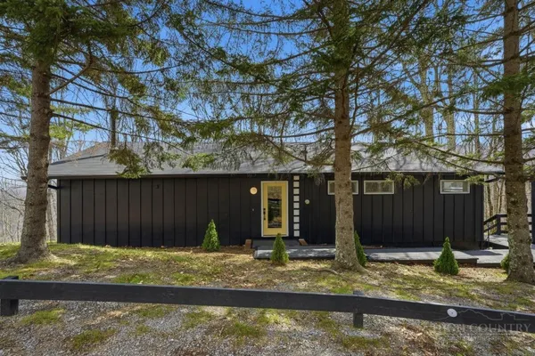 $597,000 | 195 Log Cabin Lane, Roan Mountain, TN 37687