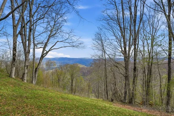 $597,000 | 195 Log Cabin Lane, Roan Mountain, TN 37687