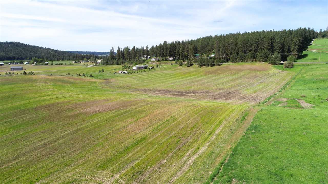 1 North Madison Road Mead, WA 99021 - Photo 11 of 20