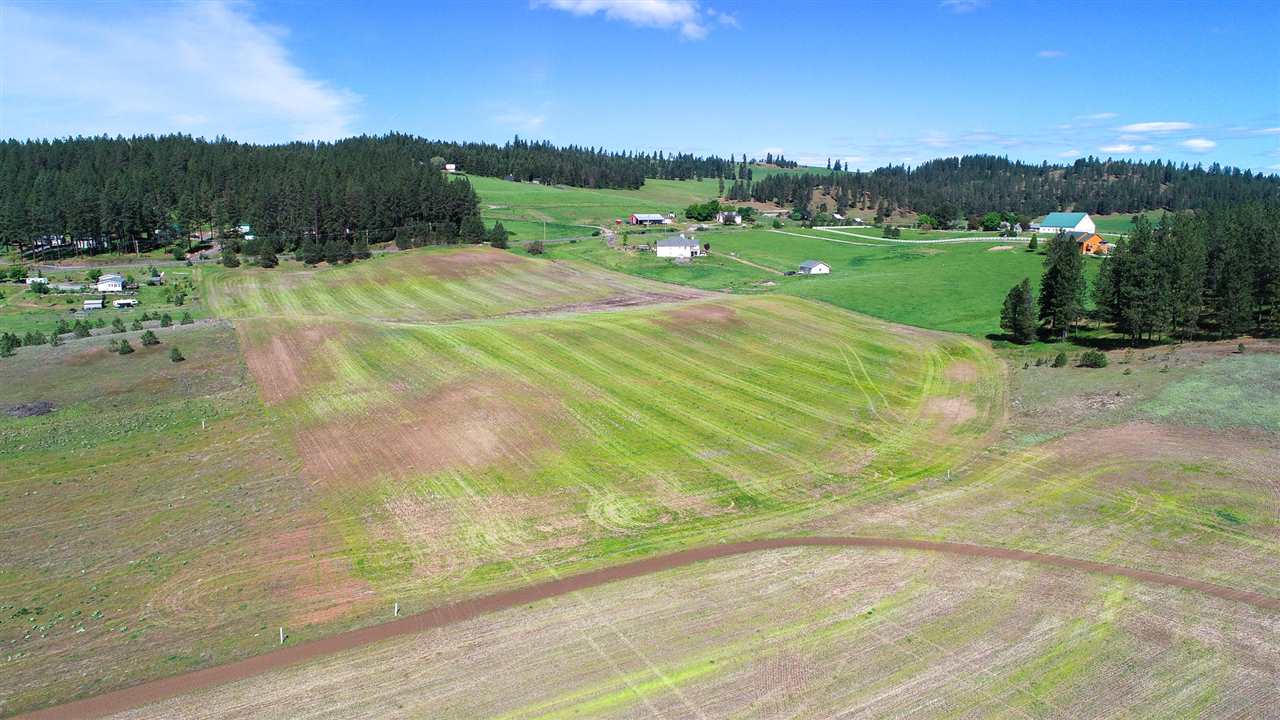1 North Madison Road Mead, WA 99021 - Photo 9 of 20