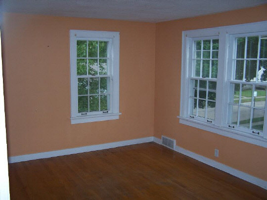 920 North 10th Street Rochelle, IL 61068 - Photo 6 of 10 a view of empty room with windows