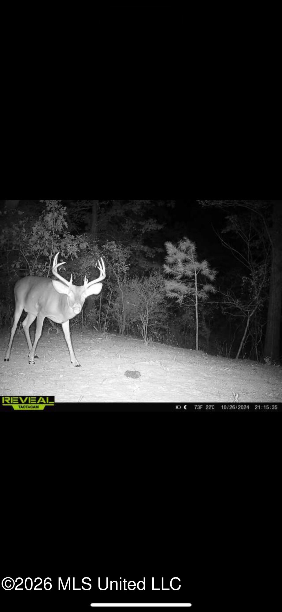 2112 Cleary Road Florence, MS 39073 - Photo 63 of 69 IMG_0373