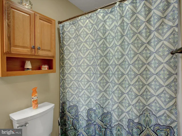 a white toilet sitting next to a shower curtain