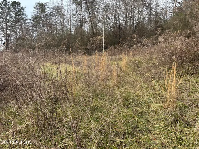 $25,000 | 361 Newport Trail, Helenwood, TN 37755