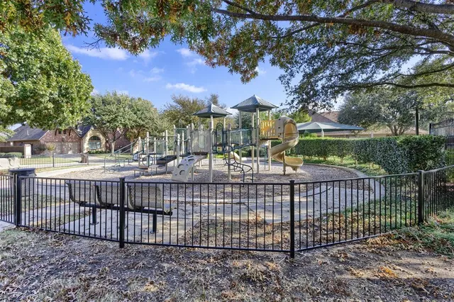a view of a park with a tree