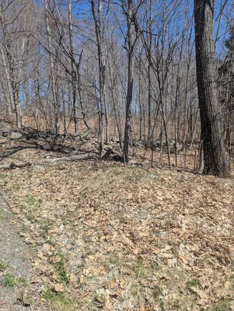 $23,500 | M9-l7 Finson Road, St. Albans, ME 04971