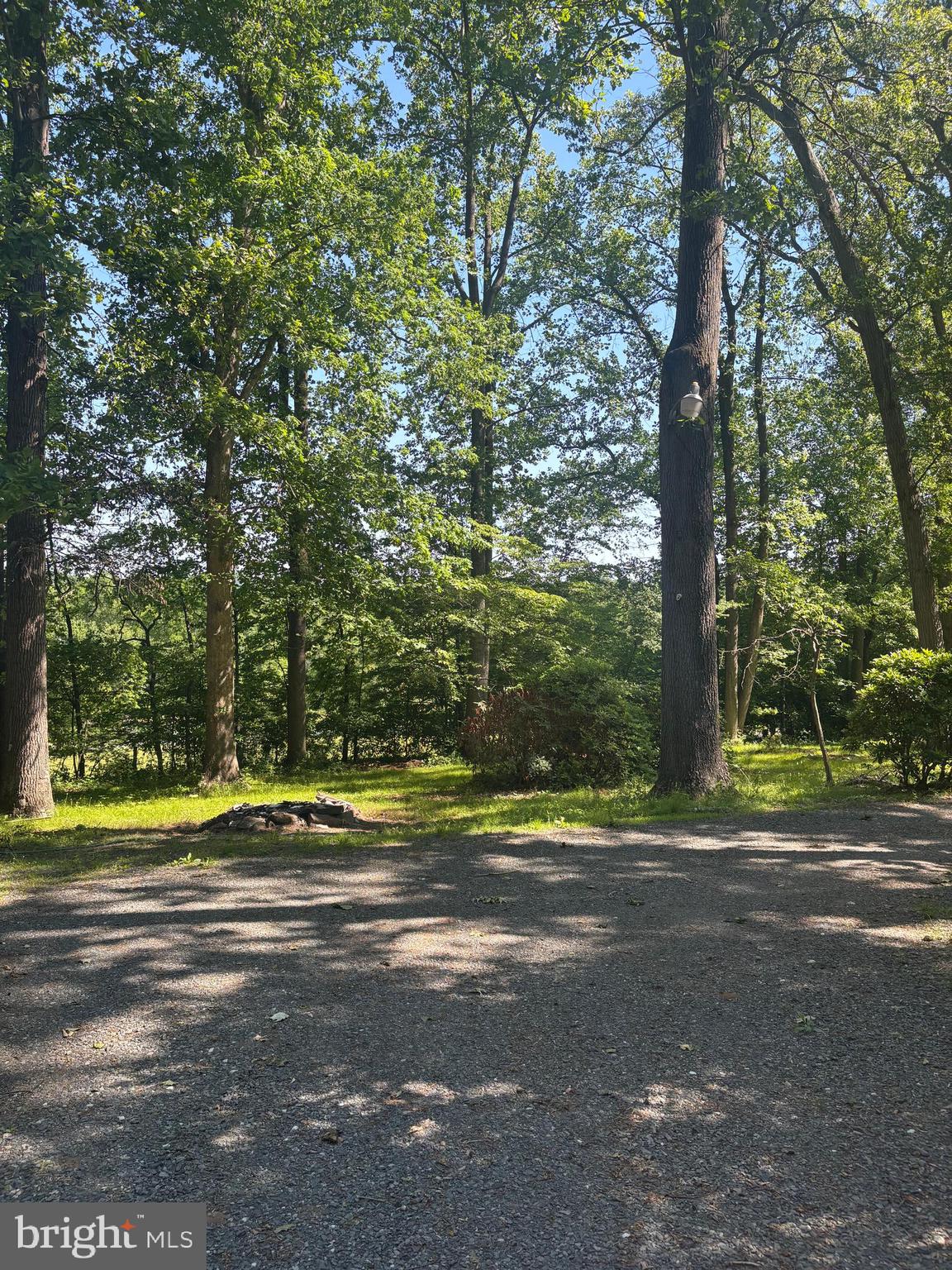 1349 Quaker Church Road Street, MD 21154 - Photo 22 of 77