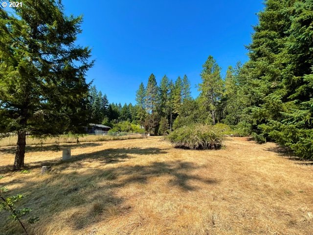 23493 Suttle Road Veneta, OR 97487 - Photo 31 of 32 Gallery Image 31