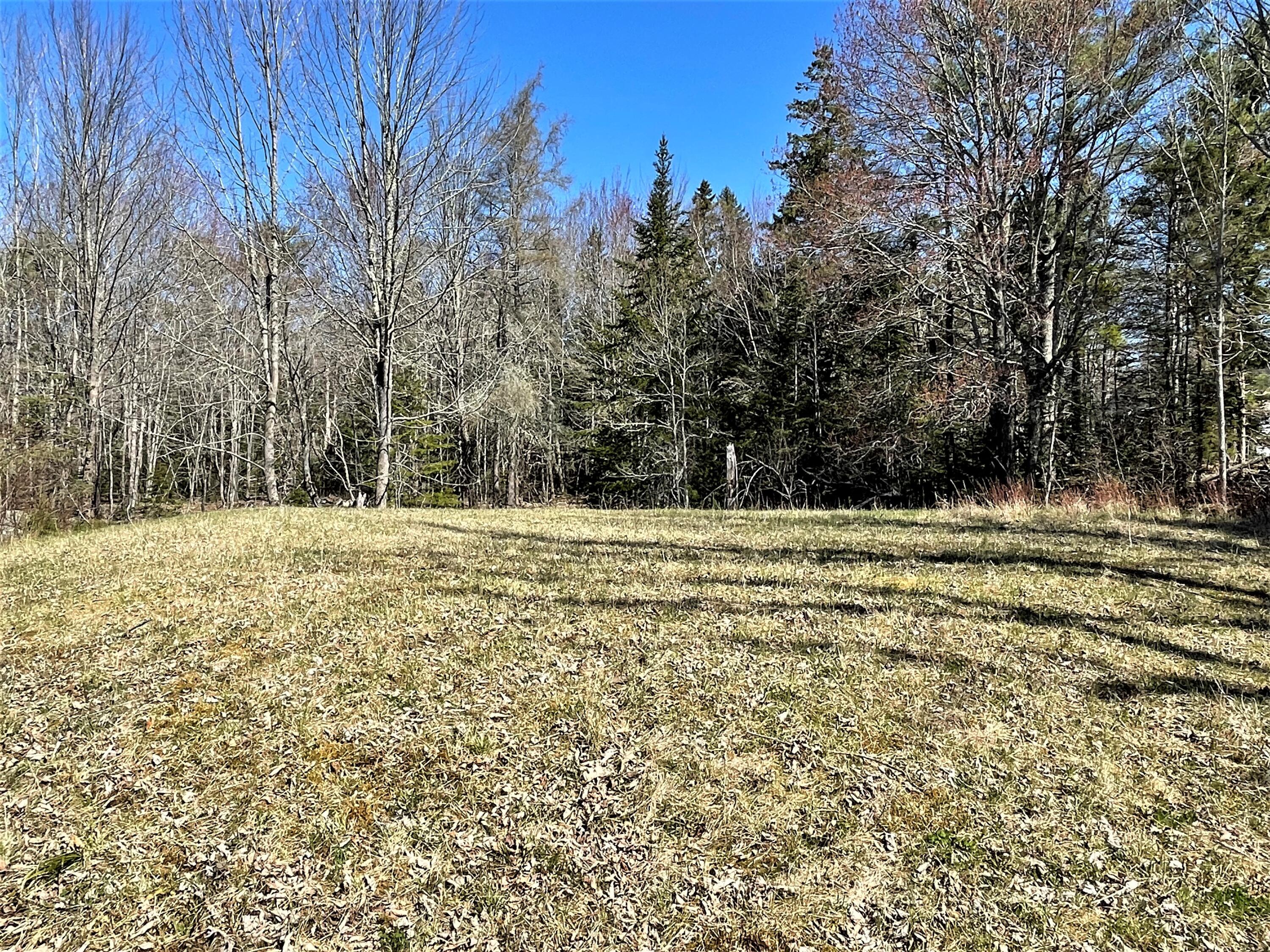 972 Newbury Neck Road Surry, ME 04684 - Photo 11 of 31 LotP12