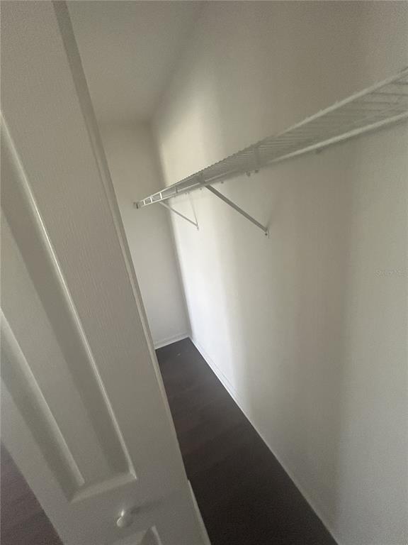 1332 Hatcher Loop Drive Brandon, FL 33511 - Photo 29 of 35 a view of closet
