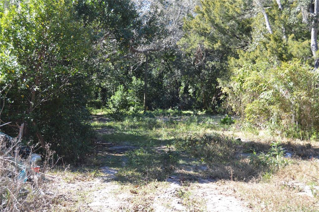 18117 Branch Road Hudson, FL 34667 - Photo 21 of 22