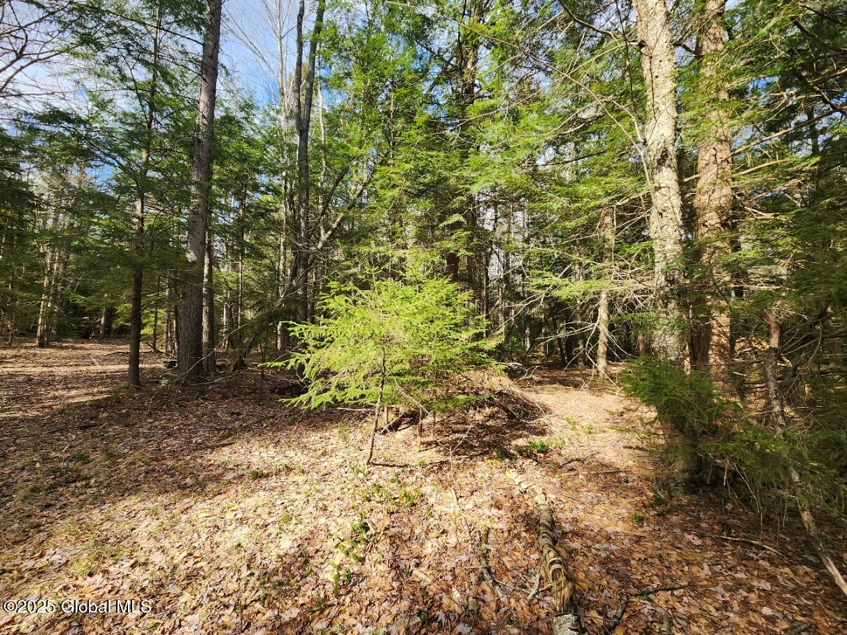 L2 Yankee Street Summit, NY 12175 - Photo 1 of 11 20250331_160725