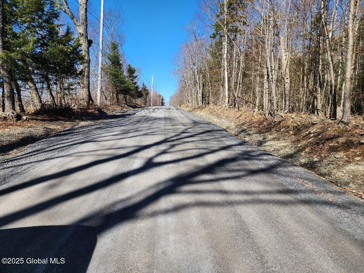 L2 Yankee Street Summit, NY 12175 - Photo 11 of 11 20250401_152320