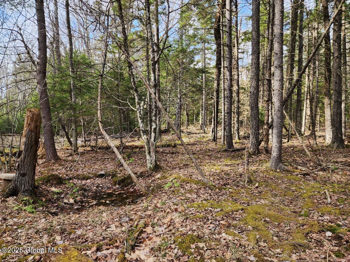 L2 Yankee Street Summit, NY 12175 - Photo 2 of 11 20250331_160646