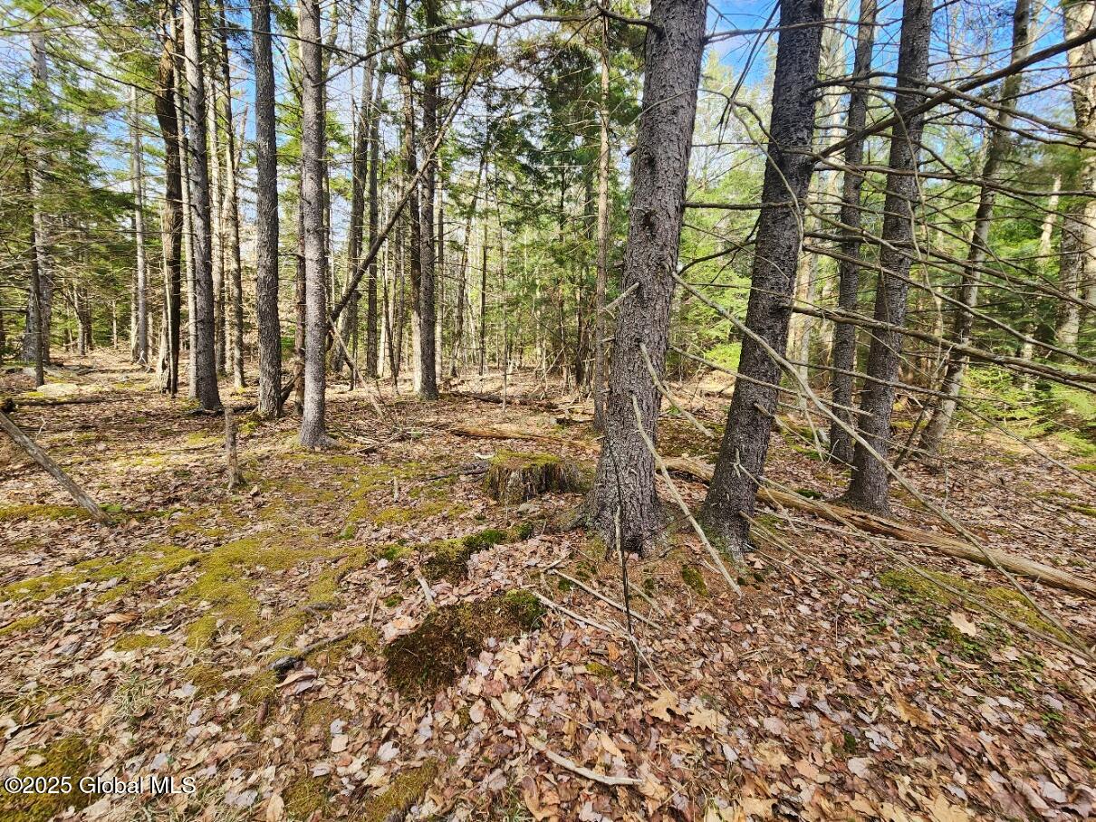 L2 Yankee Street Summit, NY 12175 - Photo 3 of 11 20250331_160650