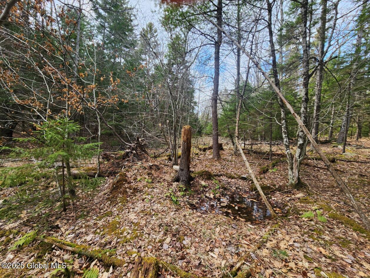 L2 Yankee Street Summit, NY 12175 - Photo 4 of 11 20250331_160655