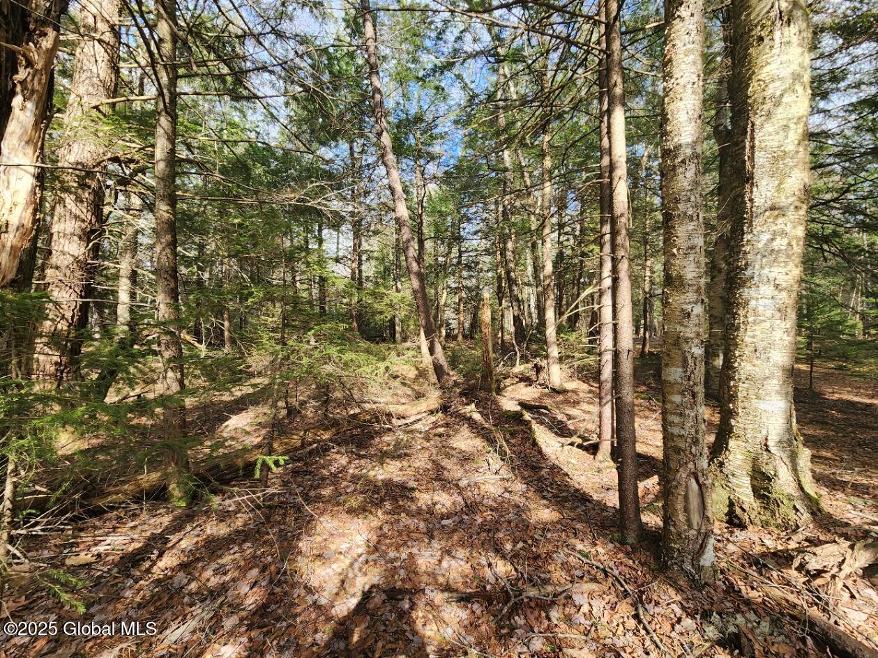 L2 Yankee Street Summit, NY 12175 - Photo 5 of 11 20250331_160731