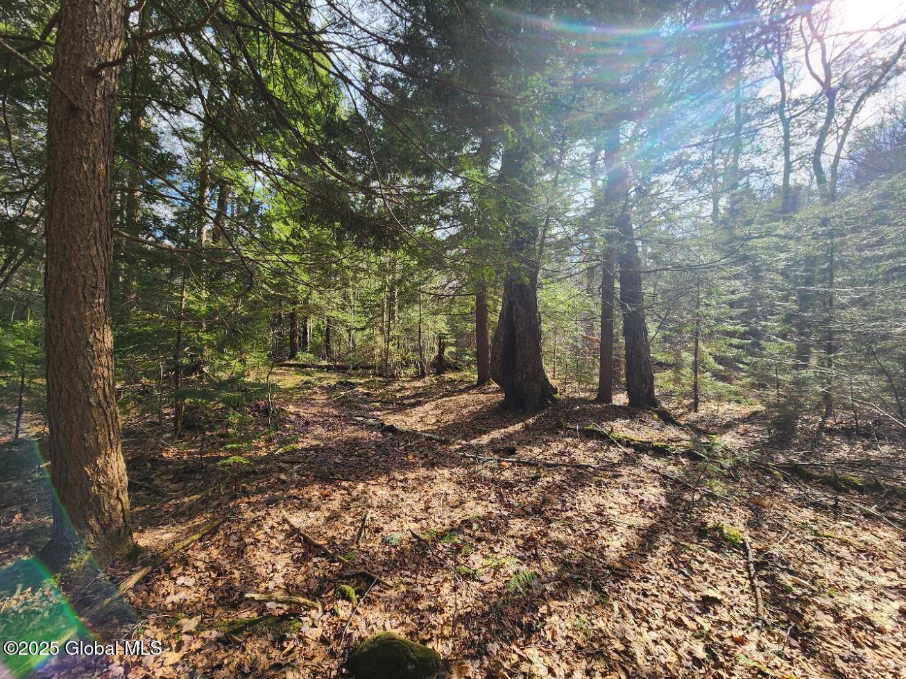 L2 Yankee Street Summit, NY 12175 - Photo 6 of 11 20250331_160736