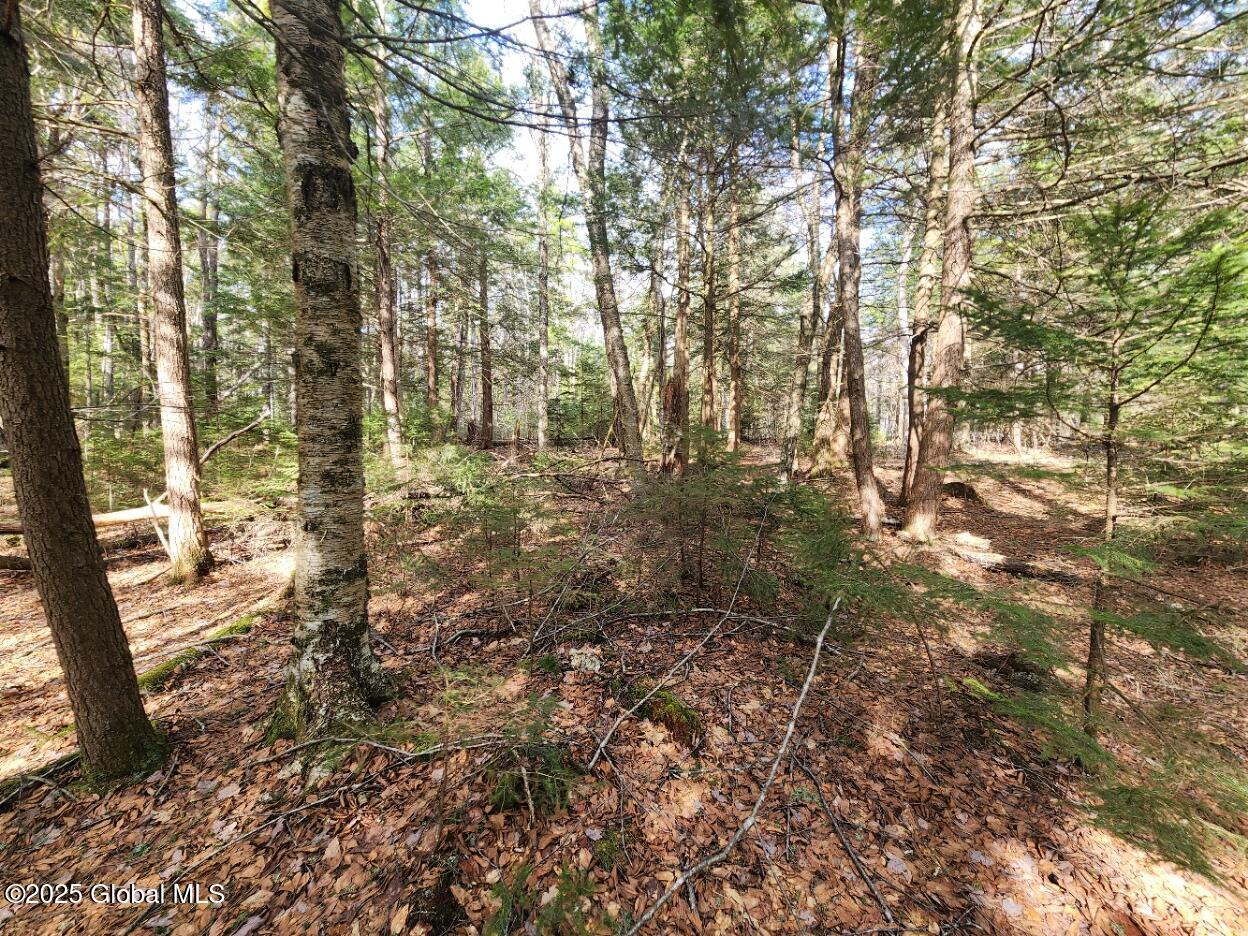 L2 Yankee Street Summit, NY 12175 - Photo 7 of 11 20250331_160744