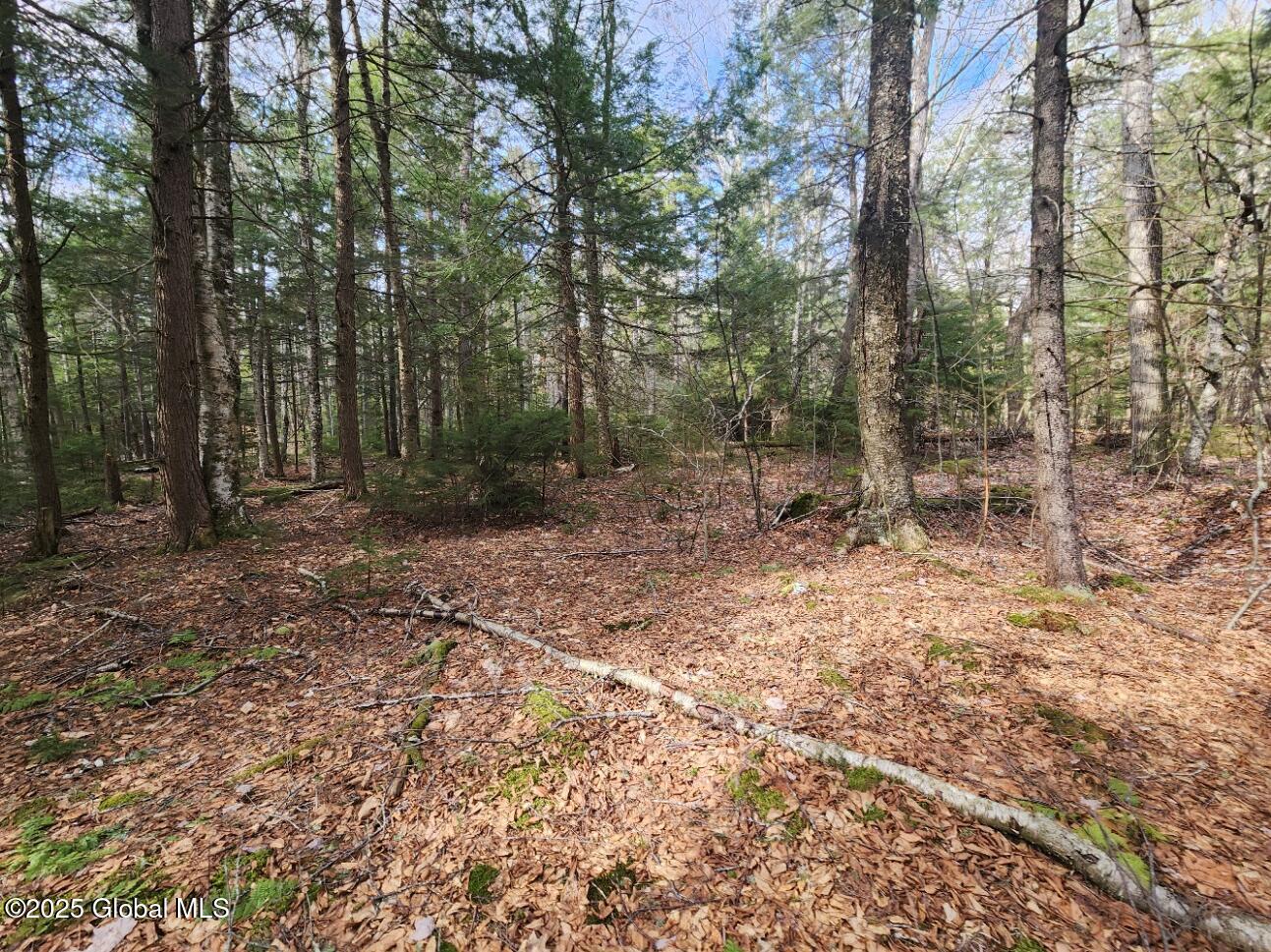 L2 Yankee Street Summit, NY 12175 - Photo 8 of 11 20250331_160807