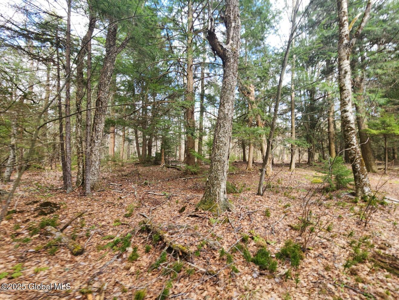 L2 Yankee Street Summit, NY 12175 - Photo 9 of 11 20250331_160812