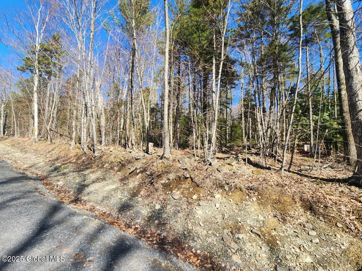 L2 Yankee Street Summit, NY 12175 - Photo 10 of 11 20250401_152332