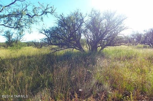 0 Yucca Ash Farm Road East, Unit 2 Sonoita, AZ 85637 - Photo 10 of 10