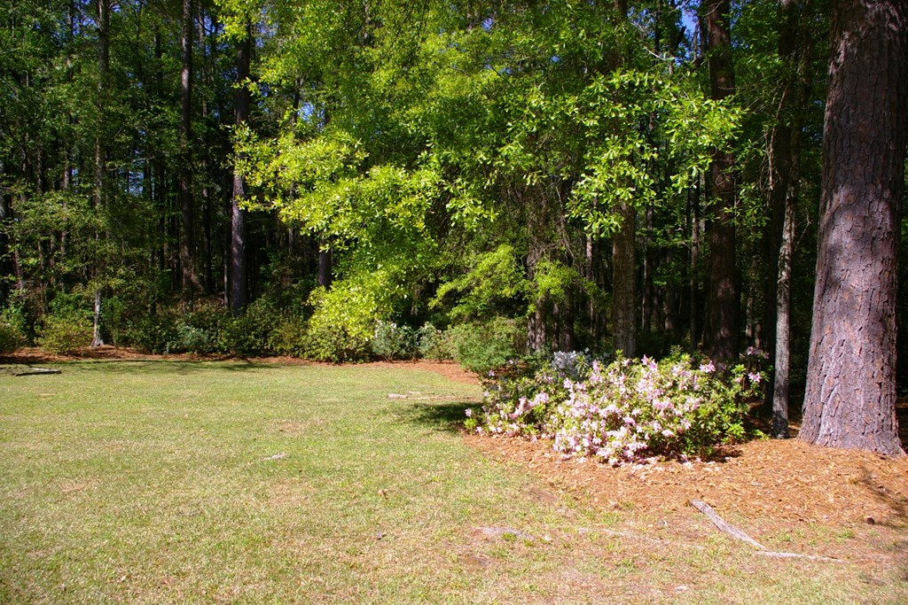 9126 Magnolia Progress Road Magnolia, MS 39652 - Photo 19 of 38 Back Yard