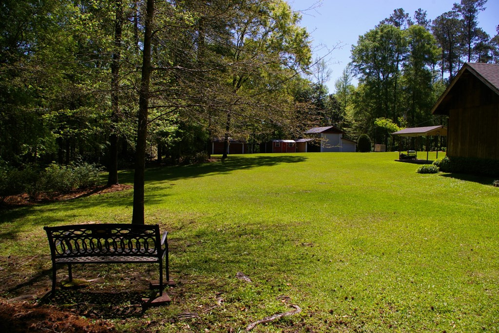9126 Magnolia Progress Road Magnolia, MS 39652 - Photo 21 of 38 Back Yard