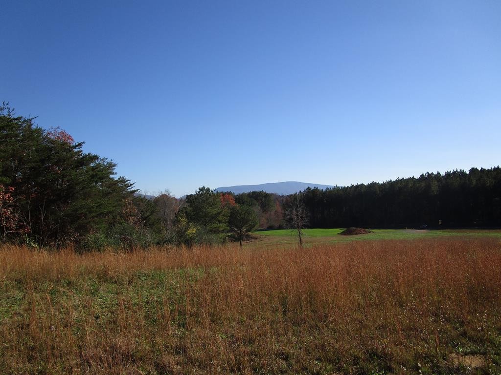 0 Hwy 163 Riceville Tn 37370 Riceville, TN 37370 - Photo 1 of 11