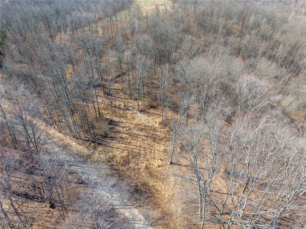 0 Clem Garvin Road Caldwell, OH 43724 - Photo 40 of 50 Aerial view of property and surrounding area