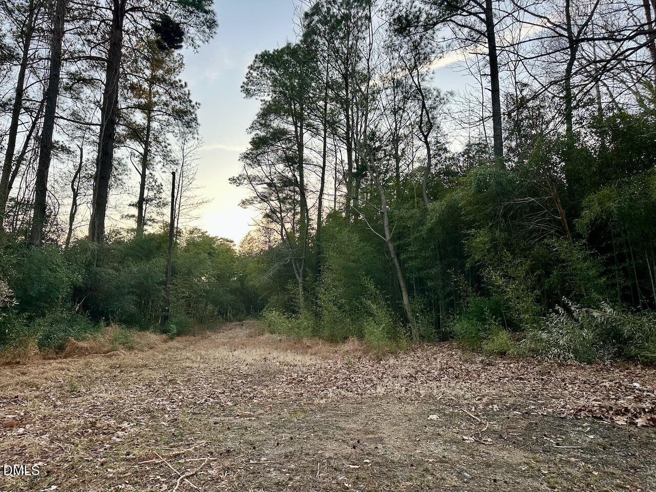 0 Fields Drive Raleigh, NC 27603 - Photo 7 of 11 IMG_2345